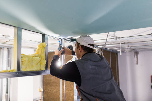 Best Insulation for Specific Applications in Black Forest, CO