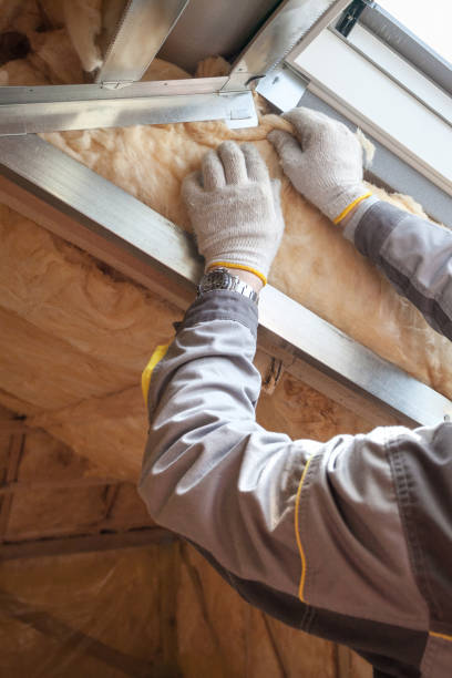 Best Insulation Materials and Products in Black Forest, CO