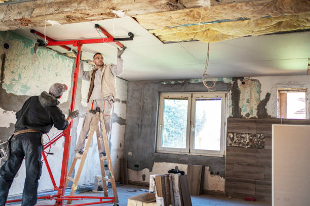 Best Types of Insulation in Black Forest, CO