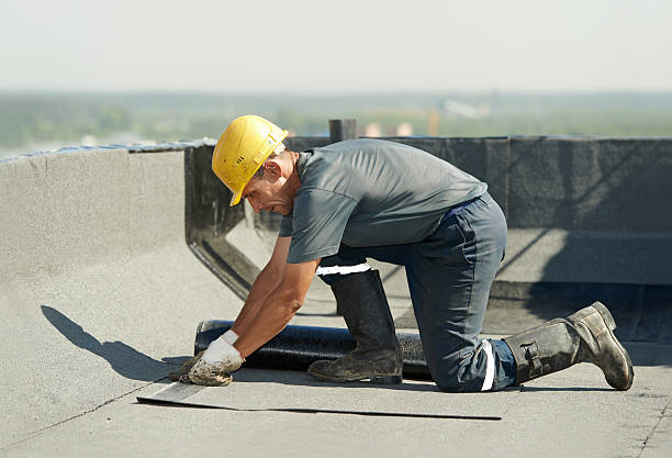 Best Commercial Insulation in Black Forest, CO
