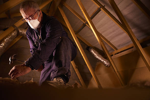 Best Insulation for Specific Applications in Black Forest, CO